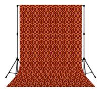 Shining Overlook Print Backdrop Background for Photography Portrait Photoshoot,Photo Studio Prop and Party