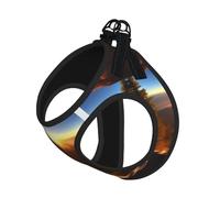 Shining Overlook Print Pet Leash Vest,Breathable Mesh Pet Harness, Reflective For Small Medium Dogs Safe Easy Walking