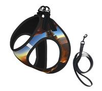 Shining Overlook Print Pet Leash Vest,Breathable Mesh Pet Harness, Reflective For Small Medium Dogs Safe Easy Walking