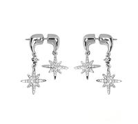 Shining Star Ear Double Pendant Silver Zircon Earrings Light Luxury Niche High-end Shining All-match Earrings