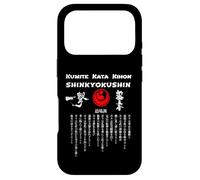 Shinkyokushin karate, kihon, kata, kumite, Kenji Midori Case for iPhone 17 Pro