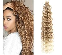 Shinon Gogo Curl Crochet Hair 2/6 Packs Pretwisted Curly Crochet Hair Pre looped water wave crochet hair Ocean Wave Crochet Hair Beach Curl Crochet Hair (27/613, 18"(6PACKS))
