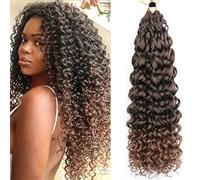 Shinon Gogo Curl Crochet Hair 2/6 Packs Pretwisted Curly Crochet Hair Pre looped water wave crochet hair Ocean Wave Crochet Hair Beach Curl Crochet Hair (T27#, 10"(6PACKS))