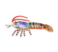 SHINROAD Realistic Australian Crayfish Plush Toy, 3D Lobster Stuffed Animal Pillow Soft Hugging Cushion for Kids Adults Unique Home Decor Blue S