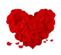 SHINTAYL Rose Petals for Bedroom - Fake Roses Petal Faux Flowers, Artificial Roses Petals for Marry me, Valentines, Proposal, Anniversary, Wedding Love Decorations Romantic Party (500, red)