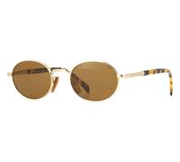Shiny Gold and Havana/Brown with Light Mirror / 52