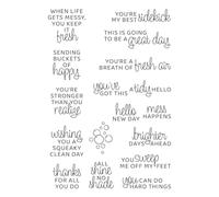 Shiny New Day Sentiments Clear Stamp Set