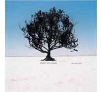 Shiny Toy Guns - We Are Pilots [Vinyl LP] [VINYL]