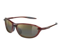 Shiny Transparent Brown/HCL Bronze Bi-Gradient Polar / 59