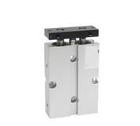 Ship Type Double Rod Cylinder with Magnet air Cylinder TN25(200mm Stroke)