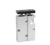 Ship Yade Passenger Type Two-Rod Cylinder with Magnet Pneumatic Cylinder TN10X70S TN16X75S TN20X80S TN32X90S TN40X100S 50X125S(TN50,100mm Stroke)