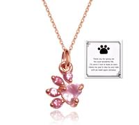 ShiQiao Spl Cat Dog Remembrance Gifts for Girls Paw Print Rhinestones Necklace for Women Sympathy Gifts Loss of Pet Memorial Necklace for Daughter Sister Best Friend