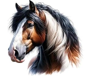 Shire Horse Head Sticker Decal, Vibrant Vinyl Covers Marks, Weatherproof & Multipurpose: Car, Wall, Glass, Window, Plastic, Toilet, Shower and More, 30cm Tall Farm Animal Graphic (Horseshire, 300mm)