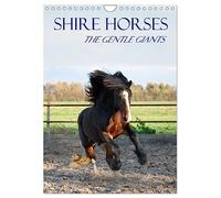 Shire Horses The Gentle Giants (Wall Calendar 2026 DIN A4 portrait), CALVENDO 12 Month Wall Calendar: The tallest horse breed in the world in action and detail