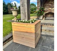 Shire Tina Larch Planter