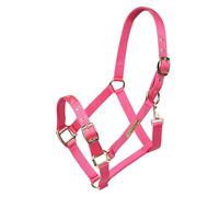 Shires ARMA Adjustable Headcollar - Pink - Size: Pony
