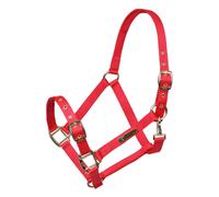Shires ARMA Adjustable Headcollar - Red - Size: Small Pony