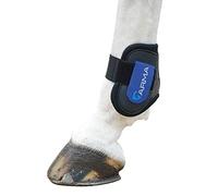 Shires Arma Fetlock Boots - Black/Royal Blue: Cob/Full