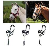 Shires ARMA Logo Headcollar & Lead Rope Sizes Extra Full Black