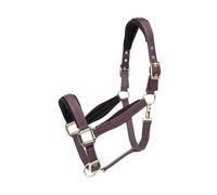 Shires ARMA Padded Headcollar - Black Cherry Full