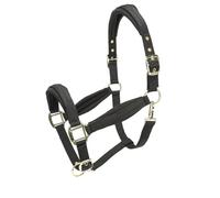 Shires ARMA Padded Headcollar - Black Pony