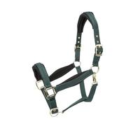 Shires ARMA Padded Headcollar - Green Pony