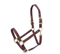Shires ARMA Porto Headcollar - Black Cherry Extra Full