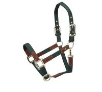 Shires ARMA Porto Headcollar - Green Extra Full