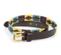 Shires Aubrion Drover Polo Belt - Standard (35mm) · 110cm · Yellow/Dark Green/Purple
