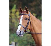Shires Aviemore Plain Bridle Black - Full
