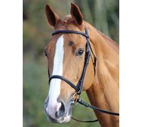 Shires Aviemore Raised Cavesson Bridle - Brown - Size: Cob