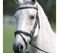 Shires Avignon Padded Raised Flash Noseband Black - Pony