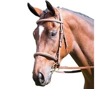 Shires Avignon Padded Raised Leather Noseband (Small Pony, Oak)