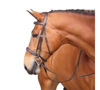 Shires Avignon Wellington Bridle Cob Havana