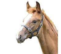 Shires Blenheim Adjustable Leather Headcollar - Black Baby 3