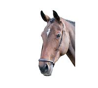Shires Blenheim Drop Noseband-Havana Cob
