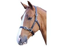 Blenheim Fully Adjustable Black Leather Headcollar - Extra Full