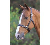 Blenheim Fully Adjustable Black Leather Headcollar - Full