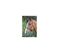 Shires Blenheim Fully Adjustable Leather Headcollar-Black Pony