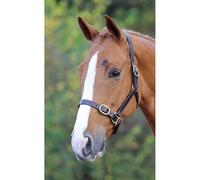 Shires Blenheim Fully Adjustable Leather Headcollar - Brown - Size: Extra Full
