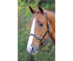Shires Blenheim Fully Adjustable Leather Headcollar - Brown - Size: Foal