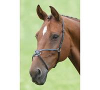 Shires Blenheim Grackle Noseband - Black - Size: Full