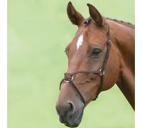 Shires Blenheim Grackle Noseband - Brown - Size: Cob