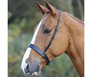 Shires Blenheim Hunter Cavesson Noseband - Black - Size: Cob