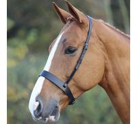 Shires Blenheim Hunter Cavesson Noseband-Black XFull