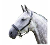 Blenheim Black Leather Travel Headcollar - Cob