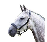Shires Blenheim Leather Travel Headcollar: Havana: Cob