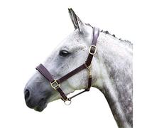 Shires Blenheim Leather Travel Headcollar: Havana: Extra Full