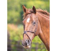 Shires Blenheim Mexican Noseband Pony Black