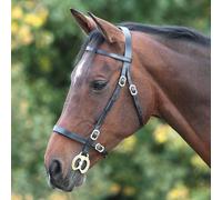 Shires Blenheim Plain Inhand Bridle-Black Cob